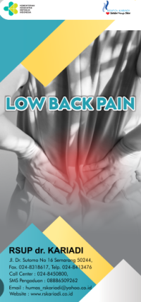 Image of Low Back Pain