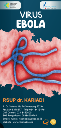 Image of Virus Ebola